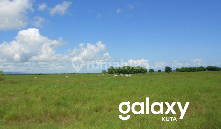 DIJUAL TANAH SIAP BANGUN DI MAMBORO SUMBA TENGAH -NTT DIJUAL TANAH SIAP BANGUN DI MAMBORO SUMBA TENGAH -NTT