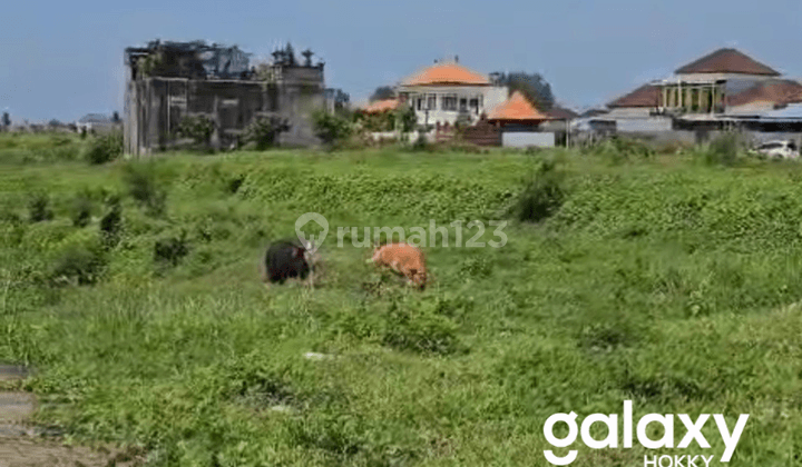 DIJUAL TANAH KAVLING PANTAI KEDUNGU TABANAN - BALI 1