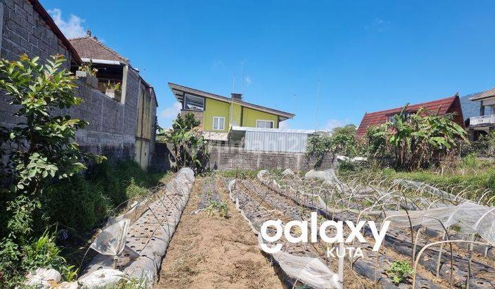 Tanah View Gunung Di Jempiring Candikuning Tabanan, Bali 2