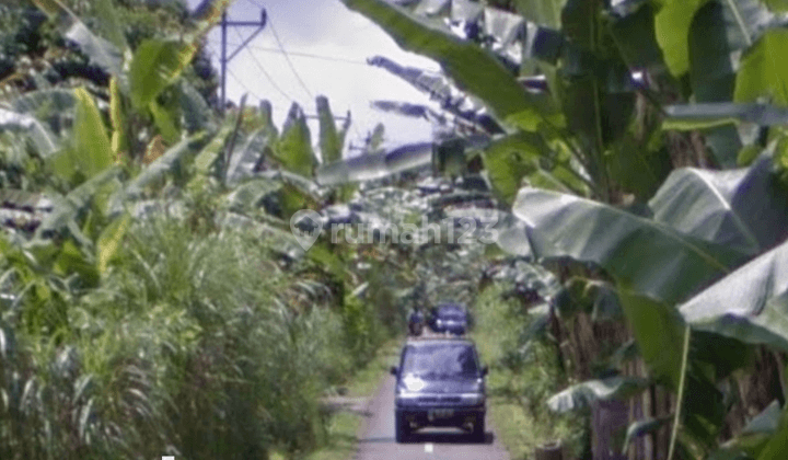 Land for Sale in a Quiet and Beautiful Area of Payangan Ubud, Bali 2