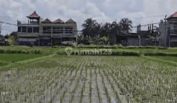 Nyitdah Plot of Land for sale Tabanan, Bali 2