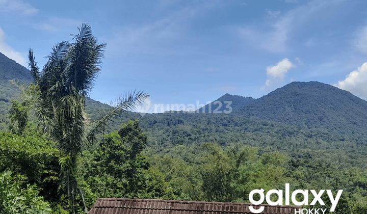 DIJUAL TANAH KEBUN VIEW PEGUNUNGAN JATILUWIH TABANAN - BALI 1