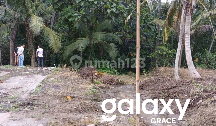 Tanah View Sawah dan Sungai di Over Kontrak 25 Tahun di Pering Saba Gianyar - Bali