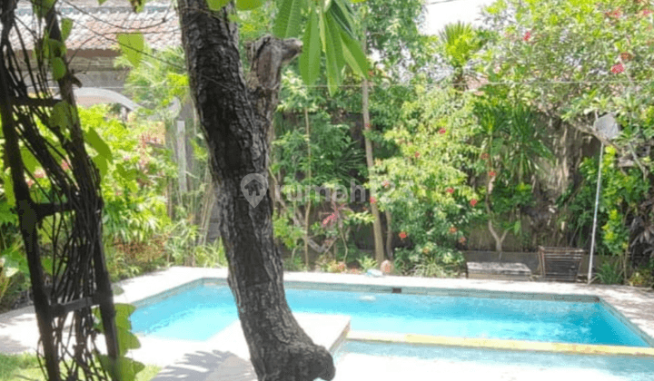 Beautiful Villa for Sale in Mertasari Kerobokan Badung, Bali 2