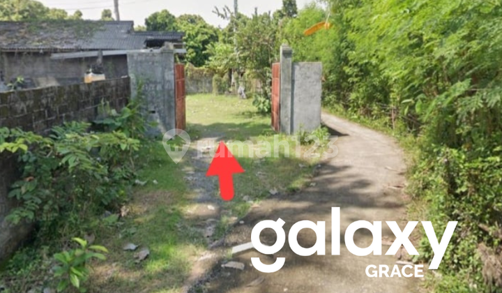 Dijual Tanah Los Pantai Grogak Buleleng Singaraja - Bali