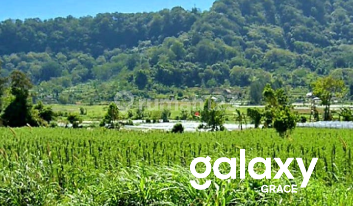 For Sale Flat Land View Lake Buyan Pancasari Singaraja Buleleng - Bali For Sale Flat Land View Lake Buyan Pancasari Singaraja Buleleng - Bali