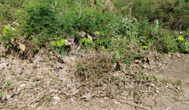 Vacant land for sale in Taman Mumbul Badung, Bali 1