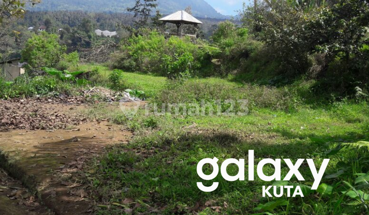 Dijual Tanah Cocok untuk Kebun/Villa Lokasi Bagus di Baturiti Bedugul Tabanan - Bali Dijual Tanah Cocok untuk Kebun/Villa Lokasi Bagus di Baturiti Bedugul Tabanan - Bali