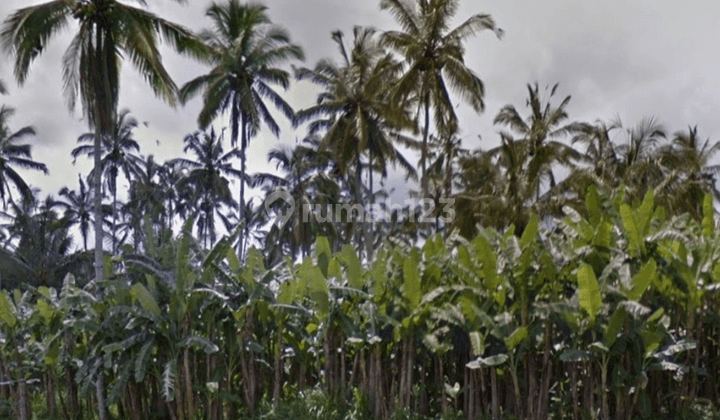 Land for Sale in a Quiet and Beautiful Area of Payangan Ubud, Bali 1