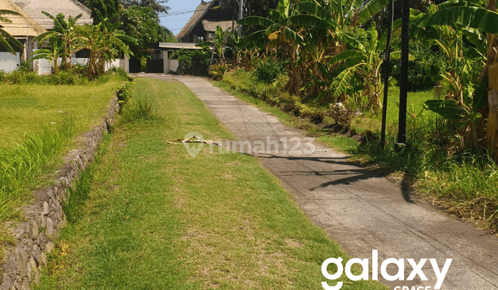 Dijual Tanah Buleleng Singaraja, Bali 2