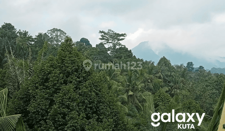 Dijual Tanah Telaga Tawang Sidemen Karangasem, Bali 2