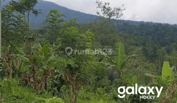DIJUAL TANAH DESA SANDA PUPUAN TABANAN - BALI 1