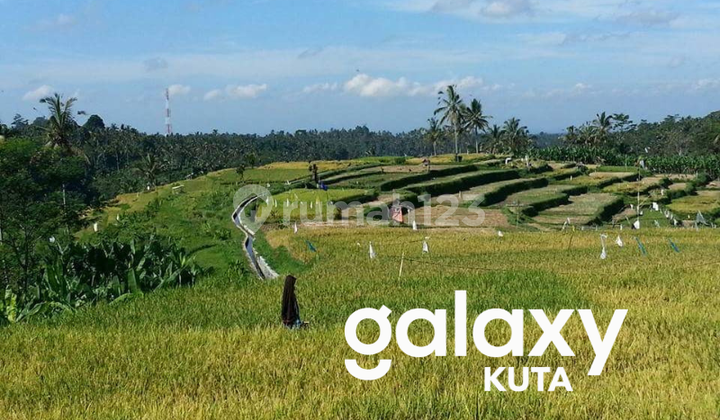 Land for Sale in Tourism Zone at Sriteja Payangan Gianyar - Bali