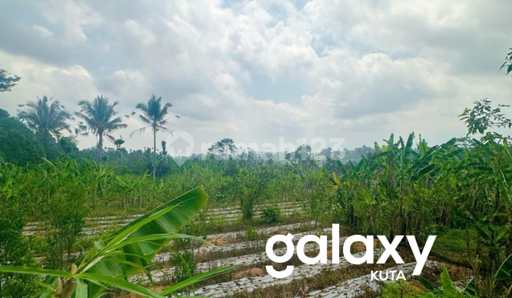 Dijual Tanah Kerta Payangan Ubud Gianyar - Bali