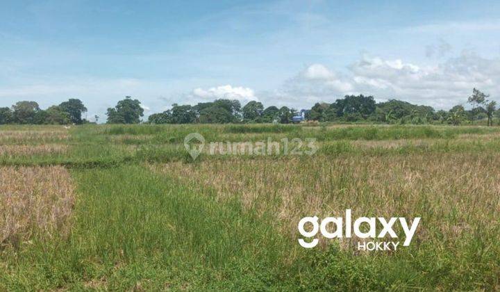 Tanah Kavling View Sawah Raya Pantai Kedungu Belalang Kediri Tabanan, Bali 2