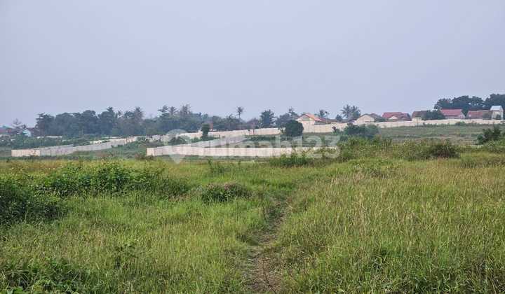 Strategic Land on the Side of Cikande Rangkasbitung Main Road, Banten, Ready to be Developed. Strategic Land on the Side of Cikande Rangkasbitung Main Road, Banten, Ready to be Developed.