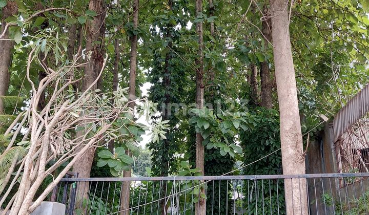 Dijual Cepat 2 Kavling Siap Dibangun Area Kavling DKI Meruya Utara Jakarta Barat 