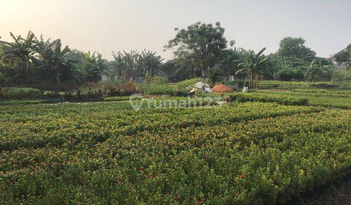 Jual Cepat Lahan Tanah Luas di Raden Saleh Cipondoh Tangerang  1