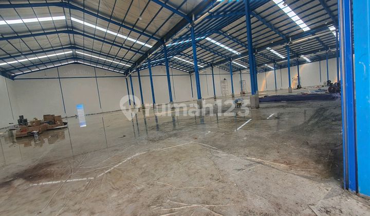 Brand New Warehouse Container Access Brand New Warehouse Container Access