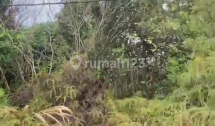 Price IDR 250,000/m², Cheap Sale 10Ha Land in Batu Aji Area