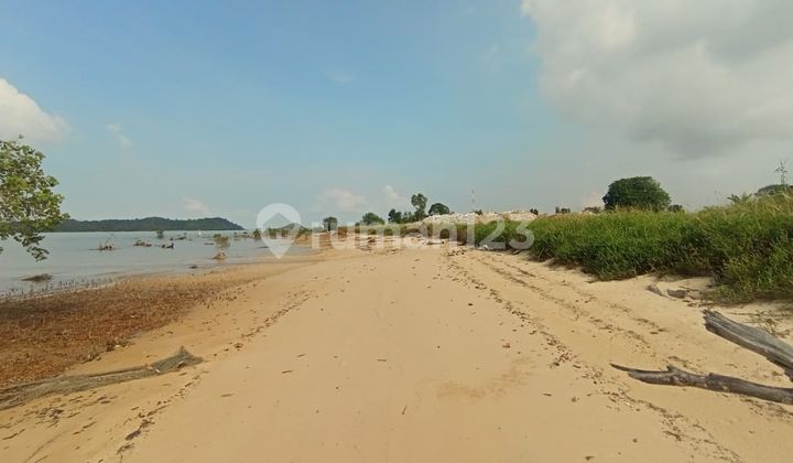 Dijual Lahan 5.5 Hektar Lokasi Sitokok Jembatan 3 Barelang Batam