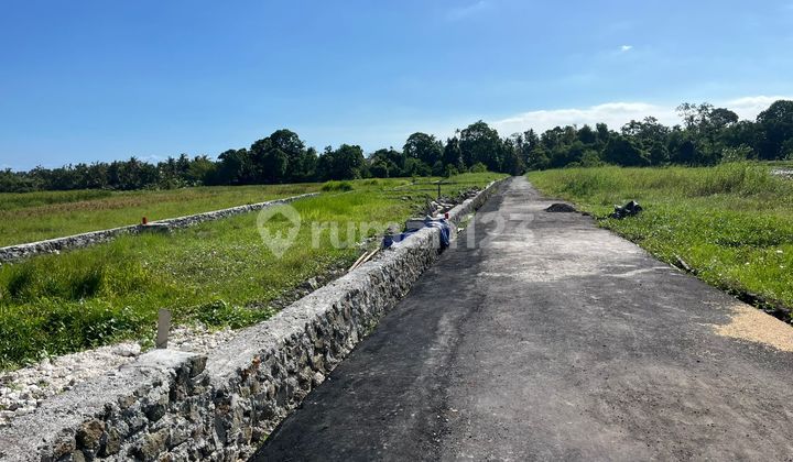 Land Ready to Build in Kedungu Tabanan Suitable for Villa Land Ready to Build in Kedungu Tabanan Suitable for Villa