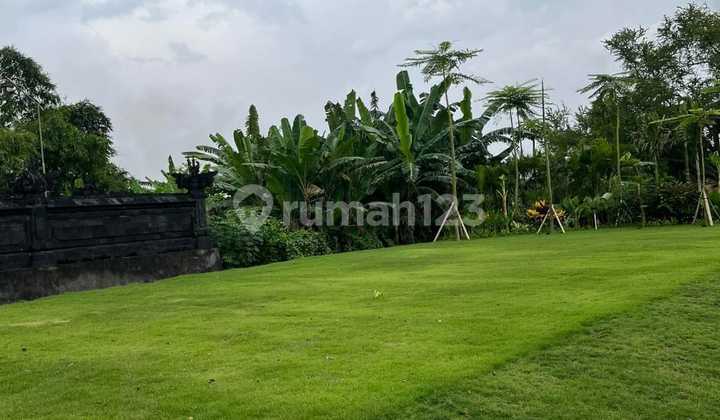 Hot Plot Area South Denpasar with One Gate System Hot Plot Area South Denpasar with One Gate System
