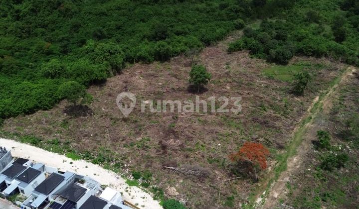 3 BR House in Benoa Area Price Only Below 1B 2