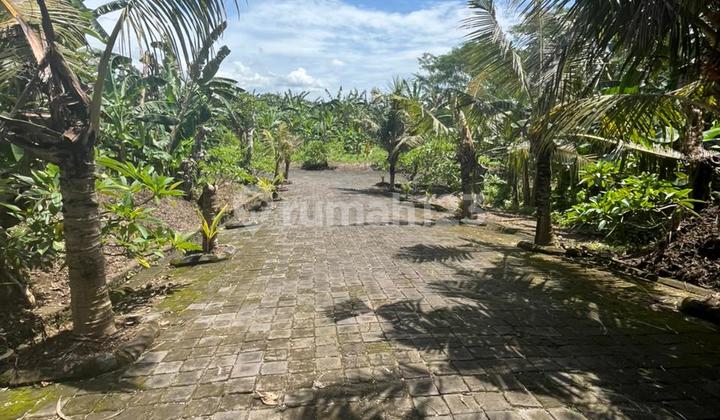 Premium Plot in Gianyar Suitable for Investment Premium Plot in Gianyar Suitable for Investment
