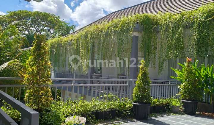 Fully Operated Guest House In Jimbaran Good For Investment