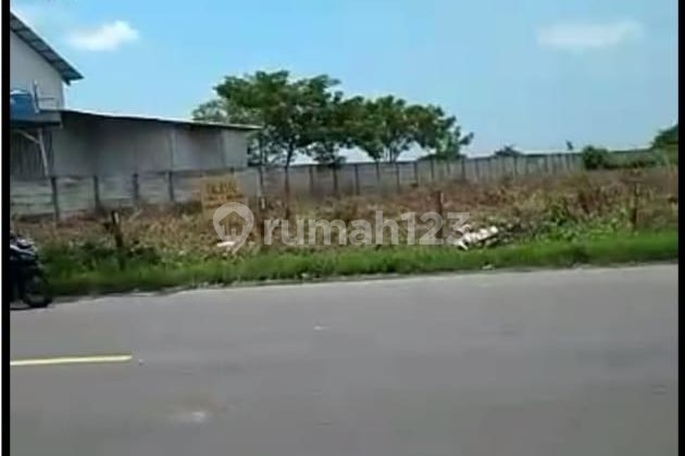 Industrial Land, Widang District, Tuban, Zero Main Road (Dnd)