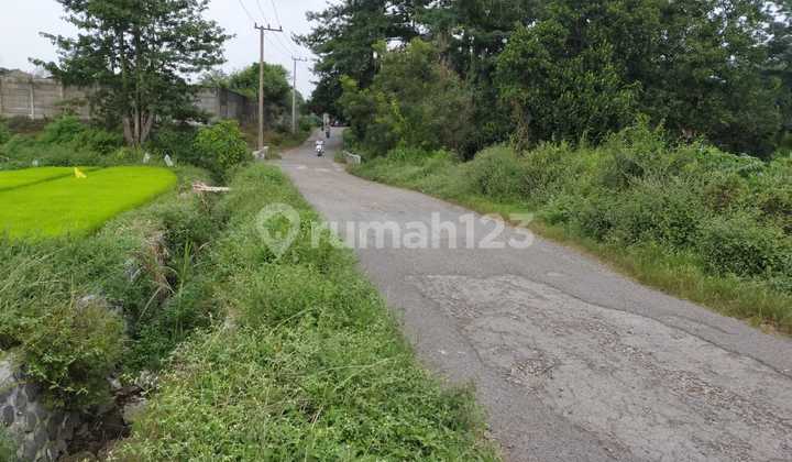 Tanah Desa Dukuhsari Pandaan Pasuruan