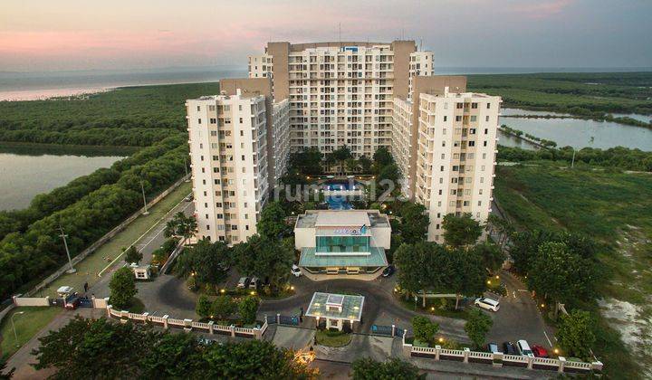 Apartemen Eastcoast Amethys Lantai 10 Terawat Siap Huni Dekat Hokky Pakuwon City Code Frd  1