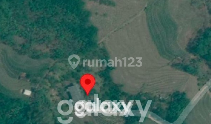 Prospective Land in Trawas Near Dlundung, Pacet Mojokerto