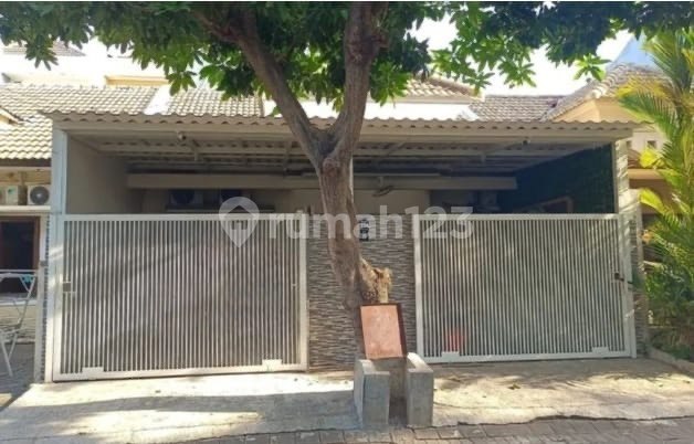 Rumah Pantai Mentari Kenjeran Dekat Mulyosari Sutorejo Lebak (Dnd)