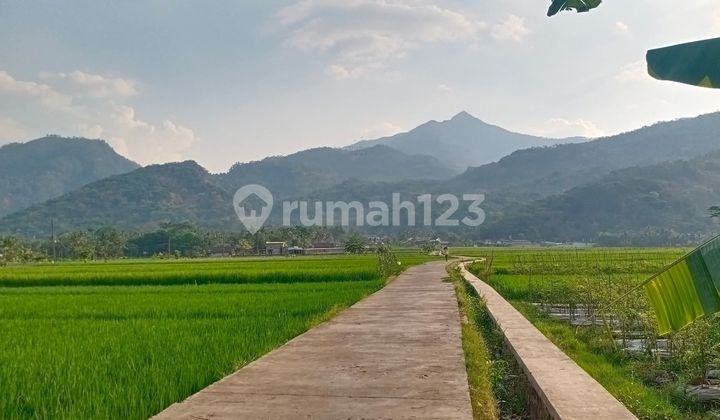 Tanah Ambarawa Banyubiru Dekat Bandungan Kopeng Tanah Ambarawa Banyubiru Dekat Bandungan Kopeng