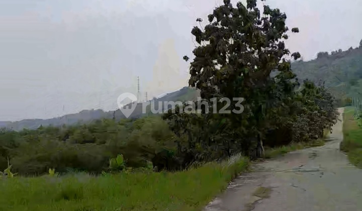 Tanah Rowosari Tembalang Mateseh Dekat Undip Tembalang 2