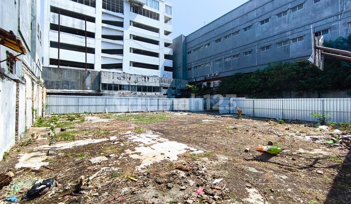 Mango Land Behind Java Cocok Strategic Business 2