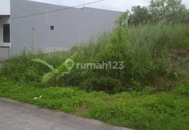 Tanah Tembalang Burangrang Jangli Dekat Undip 1