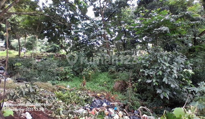 Tanah Tembalang Bulusan Utara Ring 1 Undip Tembalang 2
