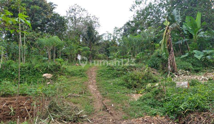 Tanah Gunung pati Wuryantoro Nempel Jalan Dekat Ungaran  2