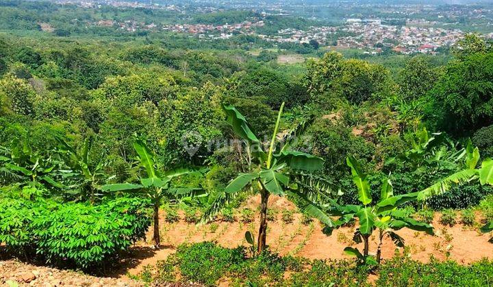 Tanah Bulusan Selatan Tembalang View Kota Semarang  1