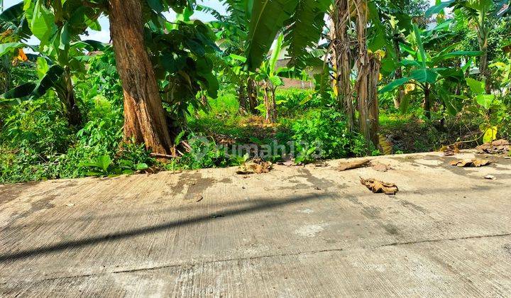 Tanah Bulusan Selatan Tembalang View Kota Semarang  2