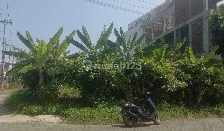 Tanah Hook Tembalang Selatan Ring 1 Undip Strategis  2