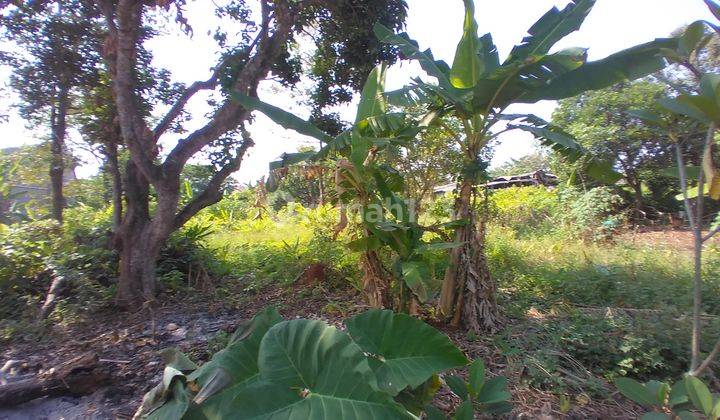 Tanah Bulusan Selatan Tembalang Dekat Kampus Undip  1