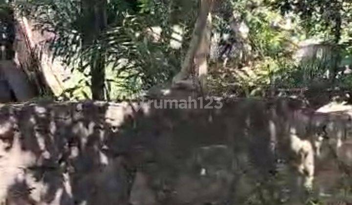 Tanah Ring 1 Tembalang Undip Dekat Kampus Kedokteran  1