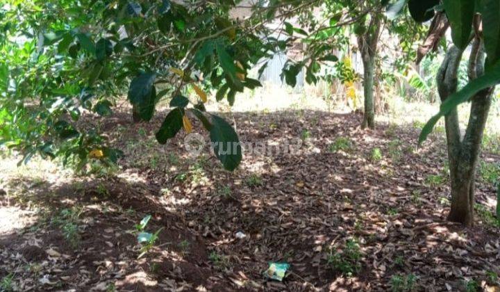 Tanah Kapling Tembalang Strategis Cocok Rumah Kost Undip  1
