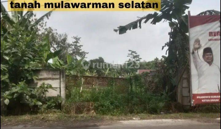 Tanah Mulawarman Selatan Raya Dekat Tembalang Undip  1