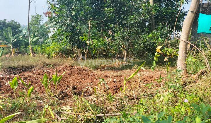 Tanah Kapling Bulusan Undip Cocok Kost Dekat Tembalang Undip  1