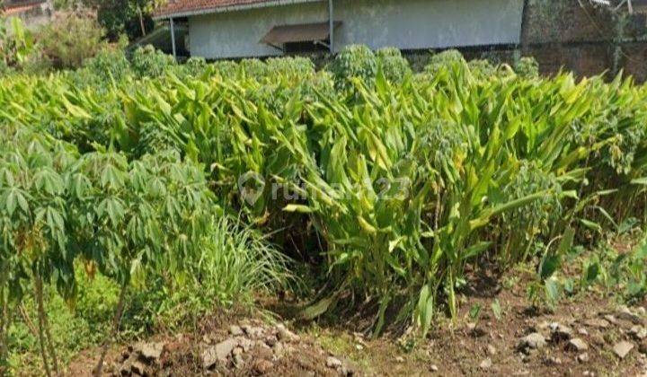 Tanah Tembalang Mulawarman Raya Dekat Undip Tembalang  2